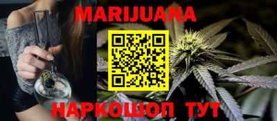 трава Гатчина