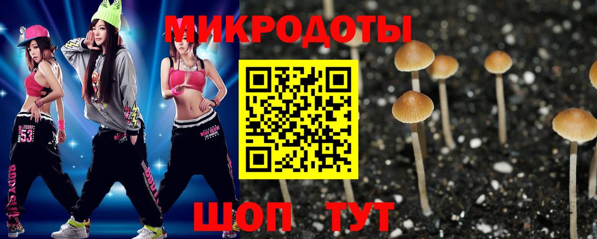 Псилоцибиновые грибы мухоморы Лобня